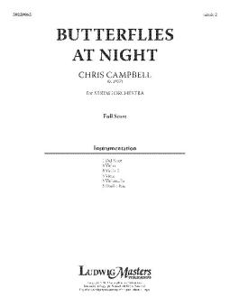 Butterflies At Night 