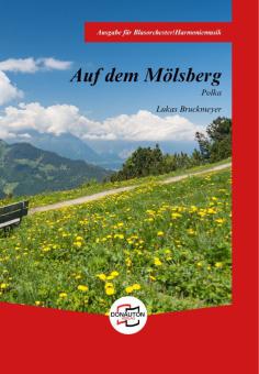 Auf dem Mölsberg 