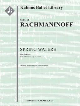 Spring Waters: Pas de deux (from 12 Romances, op. 14, No. 11) 