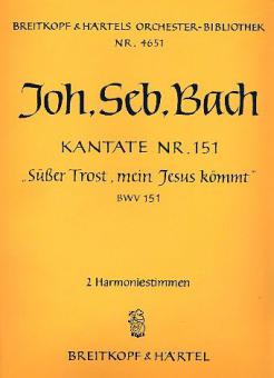 Süßer Trost, mein Jesus kömmt 