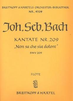 Non sa che sia dolore / Was Schmerz sei und was Leiden 