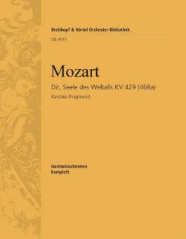 Dir, Seele des Weltalls 