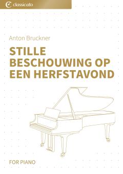 Stille Beschouwing op een Herfstavond 