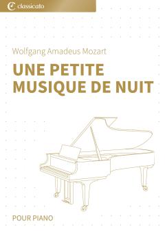 Une petite musique de nuit 