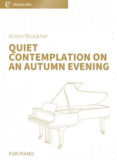 Quiet Contemplation on an Autumn Evening 