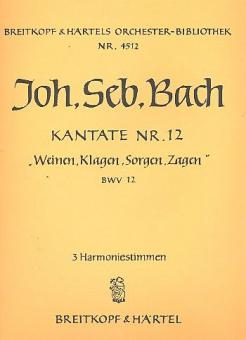 Weinen, Klagen, Sorgen, Zagen 