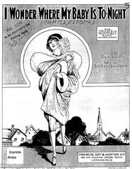 I Wonder Where My Baby Is Tonight 