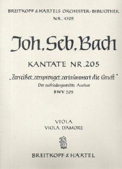 Zerreisset, zersprenget, zertrümmert die Gruft 