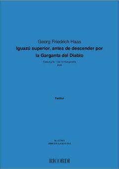 Iguazu superior antes de descender por la garganta 