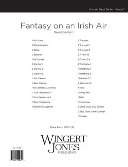 Fantasy On An Irish Air 