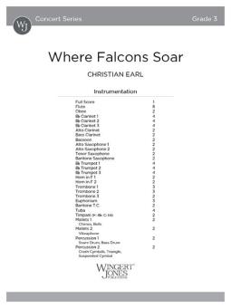 Where Falcons Soar 