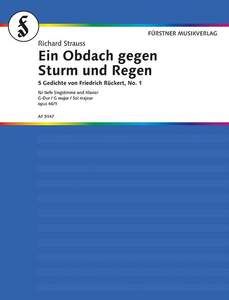 Ein Obdach gegen Sturm und Regen Standard