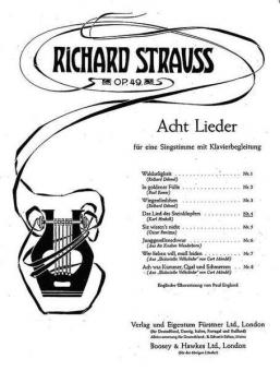 Das Lied des Steinklopfers 