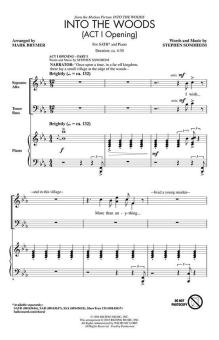 Into The Woods Download