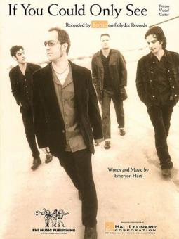 If You Could Only See 