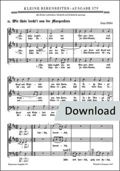 Wie schön leucht' uns der Morgenstern 