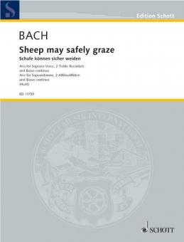 Schafe können sicher weiden BWV 208 Standard