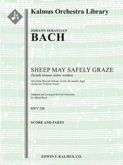 Sheep May Safely Graze (Schafe konnen sicher weiden) 