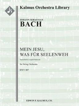 Mein Jesu, was fuer Seelenweh, BWV 487 