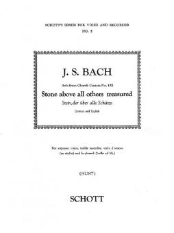 Stein, der über alle Schätze 