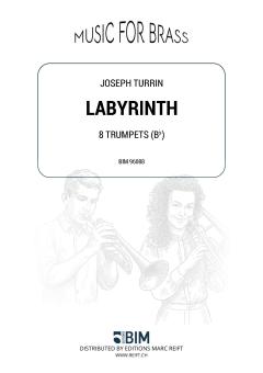 Labyrinth Download