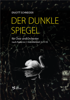 Der dunkle Spiegel 