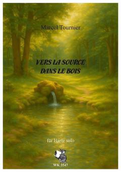 Vers la Source dans le bois 