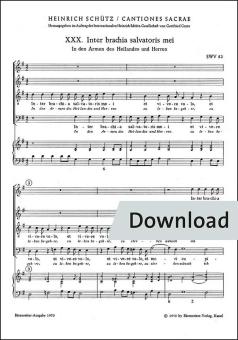 Inter brachia salvatoris mei 