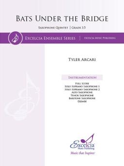 Bats Under the Bridge 