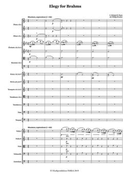 Elegy for Brahms 