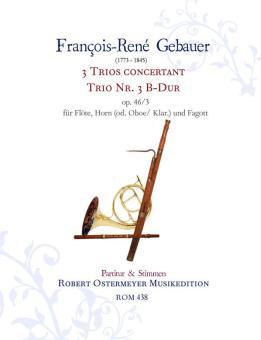 Trio B-Dur op. 46/3 