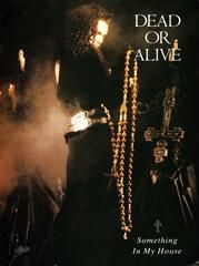 Something In My House 