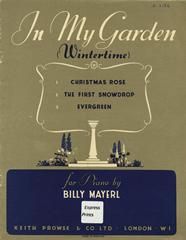 Evergreen (from 'In My Garden (Wintertime)') 