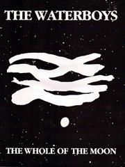 The Whole Of The Moon 