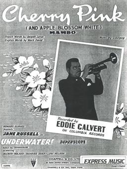 Cherry Pink And Apple Blossom White 