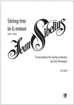 Streichtrio in g-Moll 