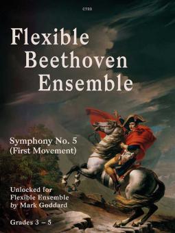 Flexible Beethoven Ensemble Standard