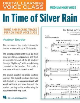 In Time Of Silver Rain 