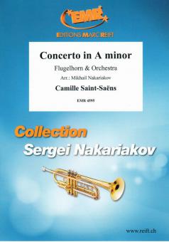 Concerto in A minor Standard