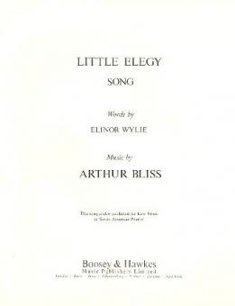 Little Elegy 
