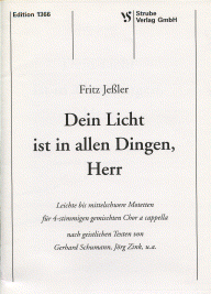 Dein Licht ist in allen Dingen 