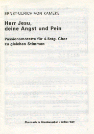 Herr Jesu, deine Angst und Pein 