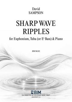 Sharp Wave Ripples Download