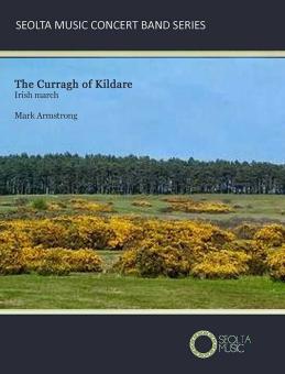 The Curragh of Kildare 