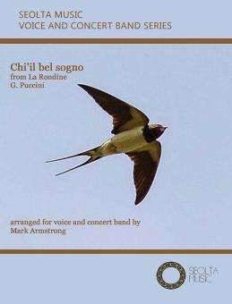Chi'il bel sogno (from "La Rondine") 