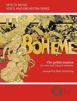 Che gelida manina (from "La Boheme") 