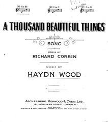A Thousand Beautiful Things 