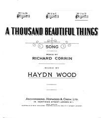 A Thousand Beautiful Things 