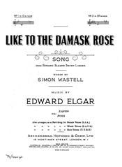 Like To The Damask Rose 