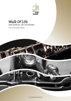 Walk Of Life 